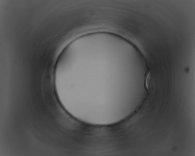X0000091551516200708311343