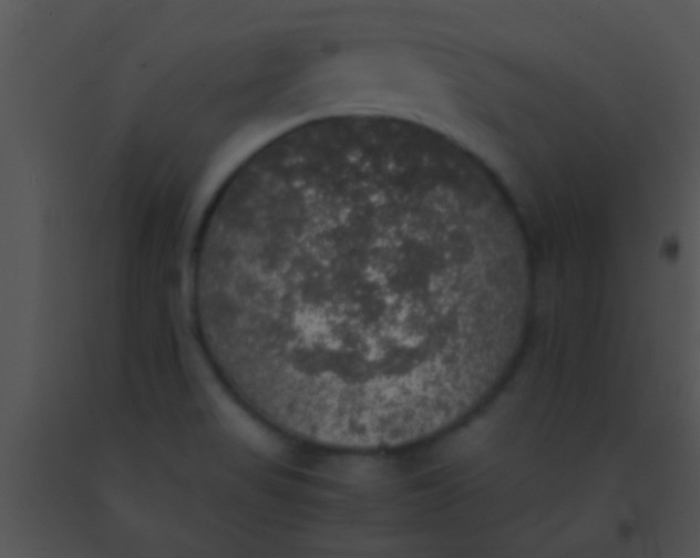 X0000091551517200708311343