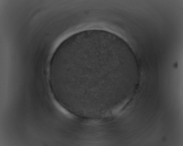 X0000091551519200708311343