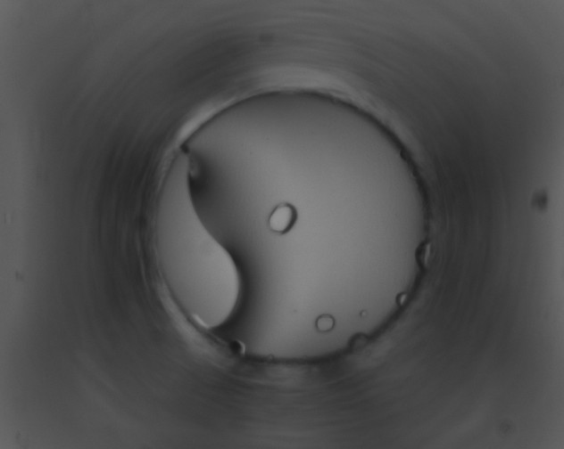 X0000091551521200708311343