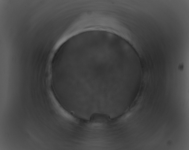 X0000091551522200708311343