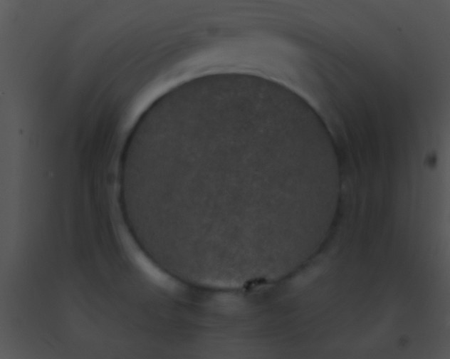 X0000091551523200708311343