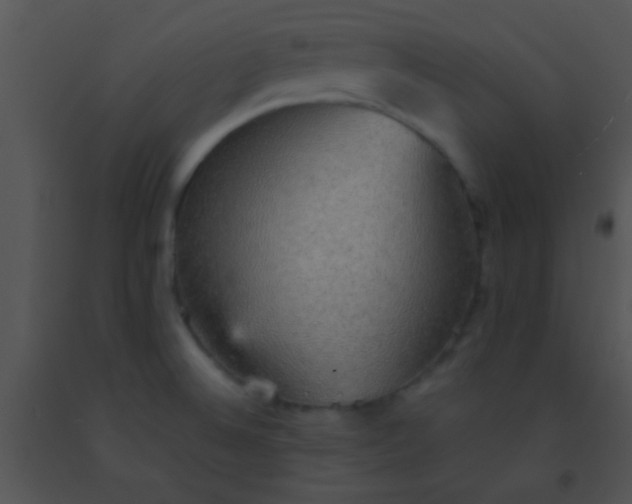 X0000091551524200708311343