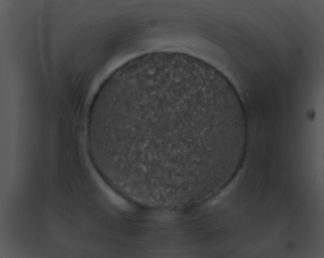 X0000091551525200708311343
