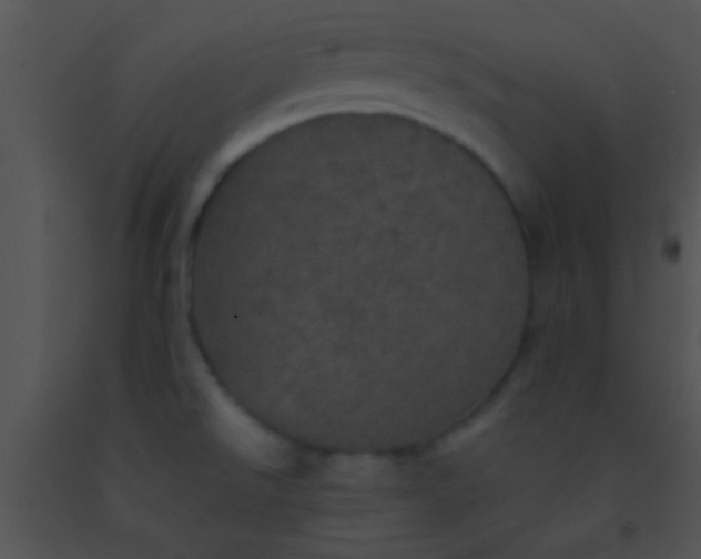 X0000091551526200708311343