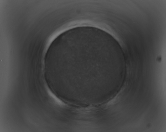 X0000091551527200708311343