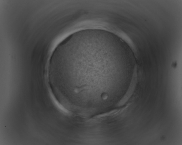 X0000091551528200708311343
