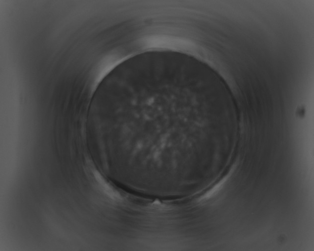X0000091551529200708311343