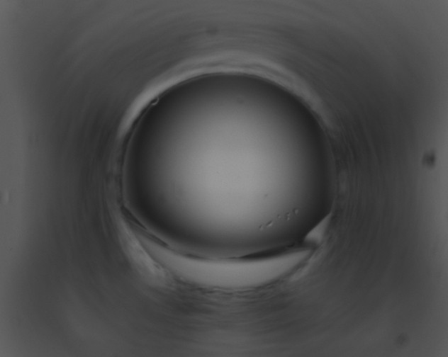 X0000091551530200708311343
