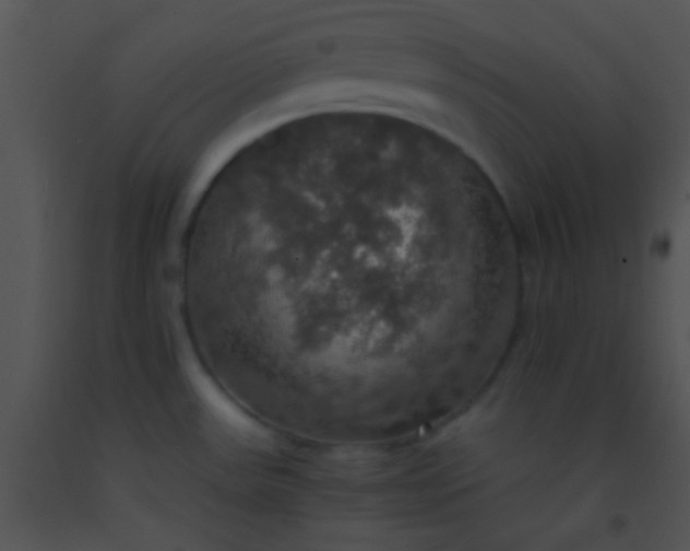 X0000091551531200708311343