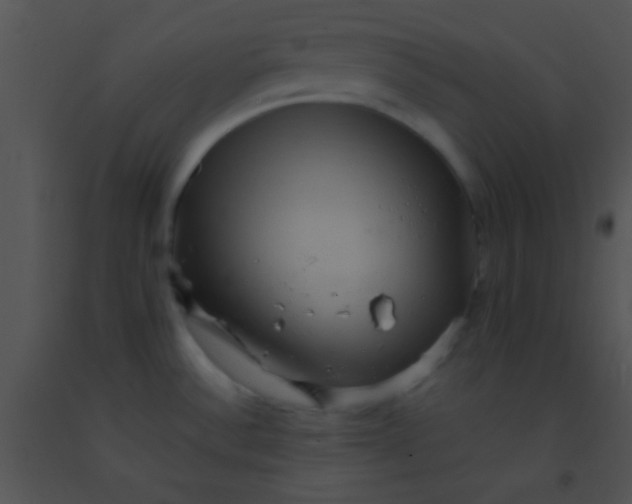 X0000091551532200708311343