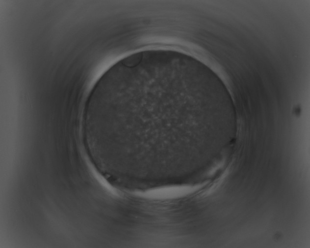 X0000091551533200708311343