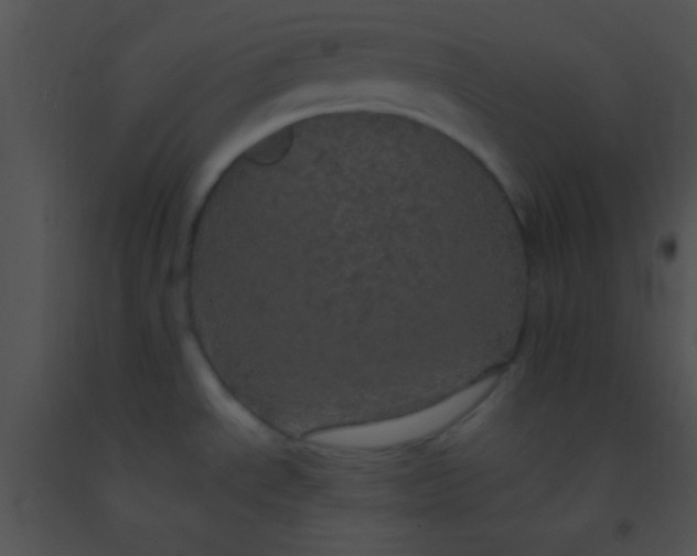 X0000091551534200708311343