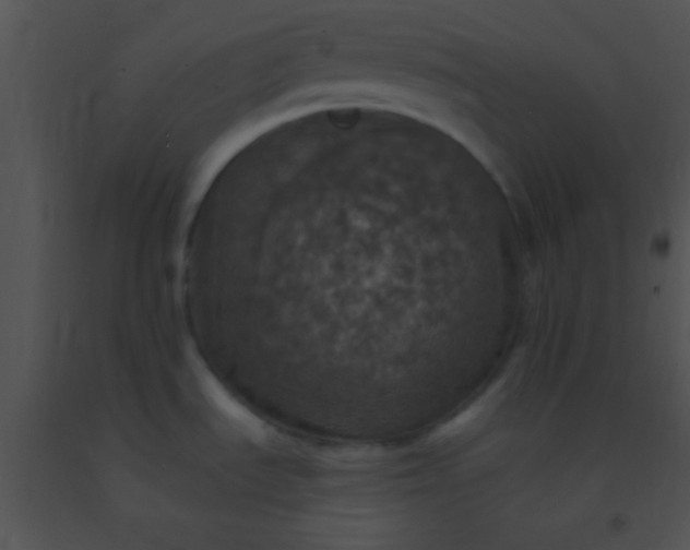 X0000091551535200708311343