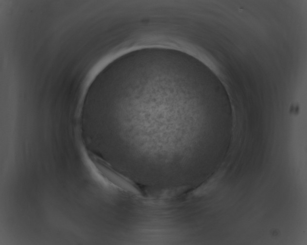 X0000091551536200708311343