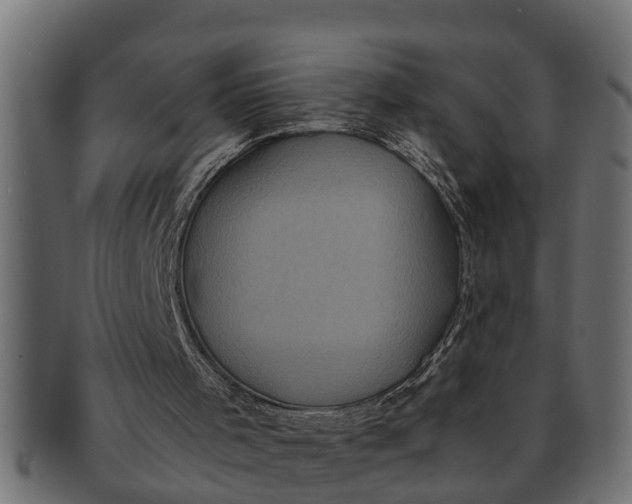 X0000091550001200709071227