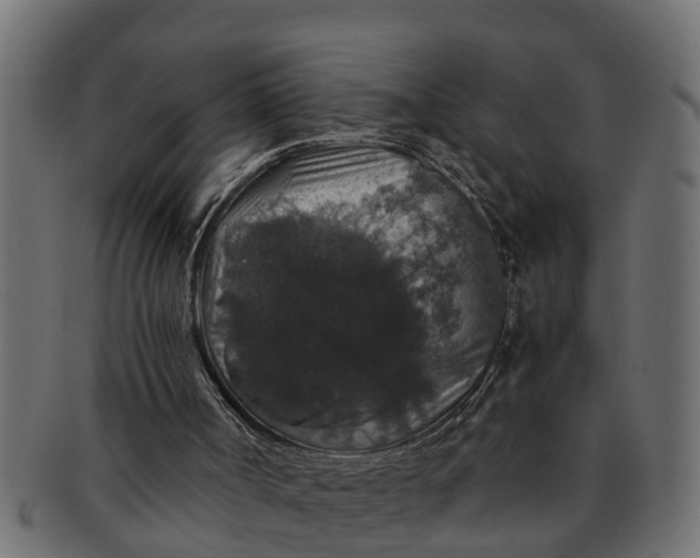 X0000091550002200709071227