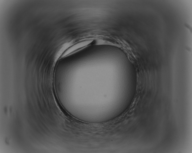 X0000091550003200709071227