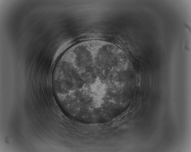 X0000091550004200709071227