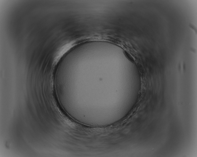 X0000091550005200709071227