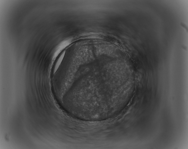 X0000091550006200709071227