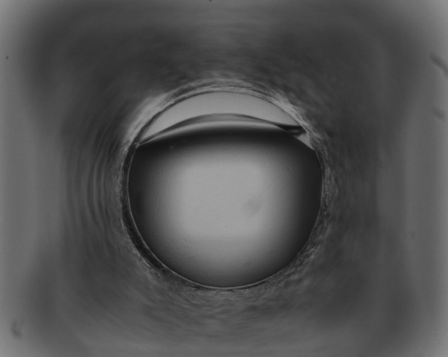 X0000091550007200709071227