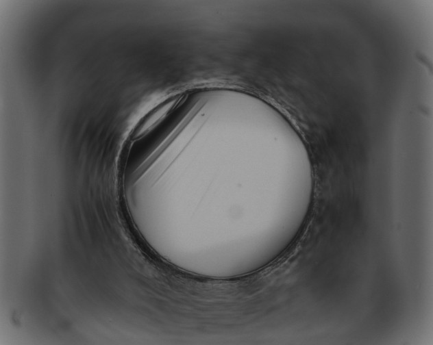 X0000091550008200709071227