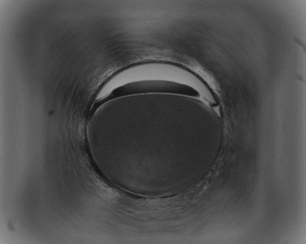 X0000091550009200709071227