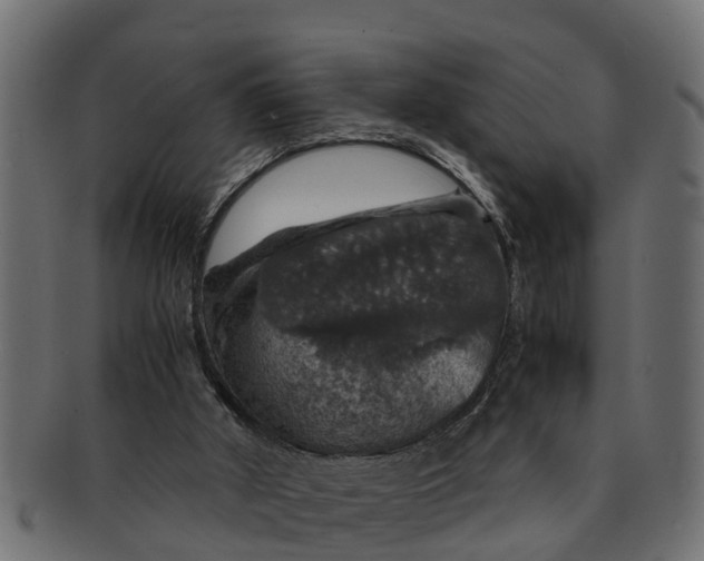 X0000091550010200709071227