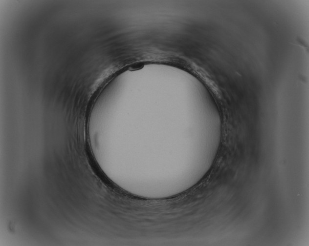 X0000091550011200709071227