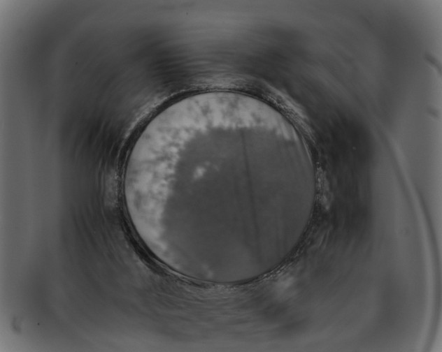 X0000091550012200709071227