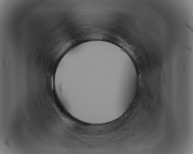 X0000091550013200709071227