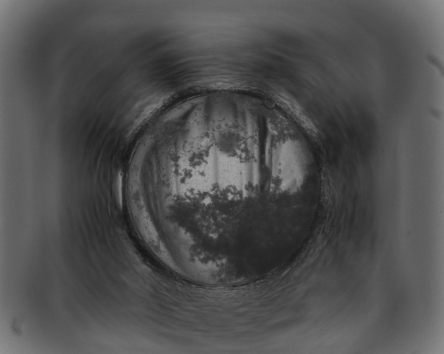 X0000091550014200709071227