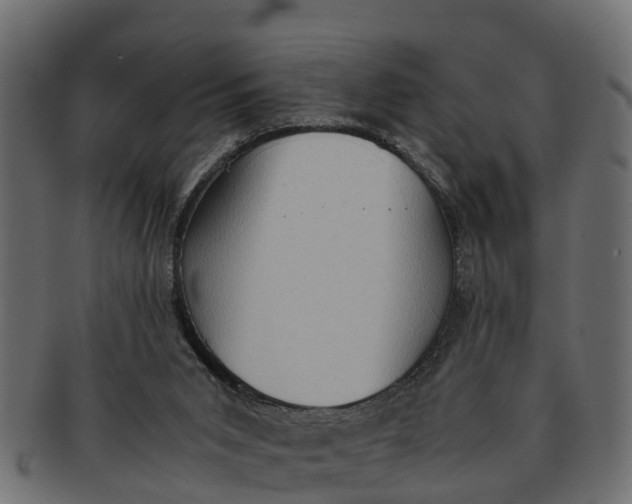 X0000091550015200709071227