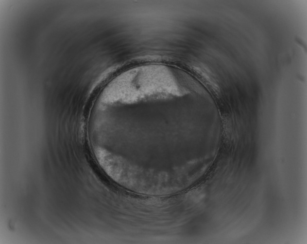 X0000091550016200709071227