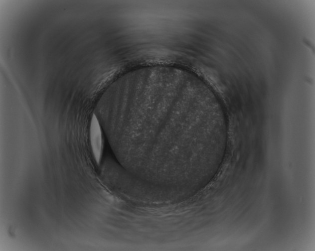 X0000091550017200709071227