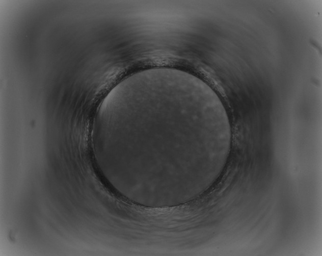 X0000091550018200709071227