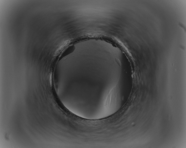 X0000091550019200709071227