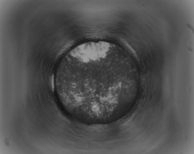 X0000091550020200709071227