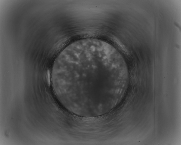 X0000091550022200709071227