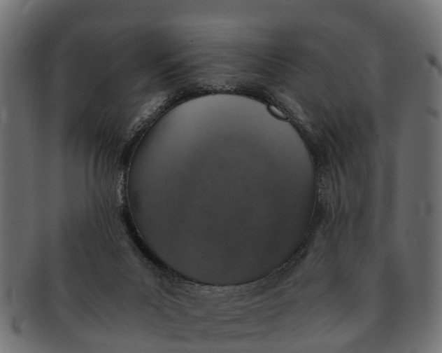 X0000091550023200709071227