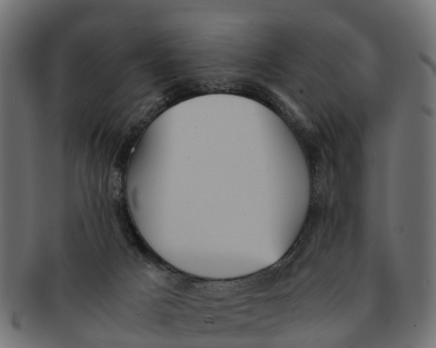 X0000091550025200709071227