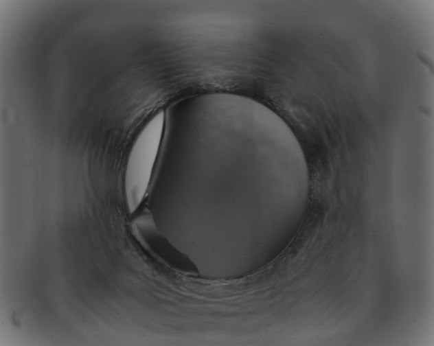 X0000091550027200709071227