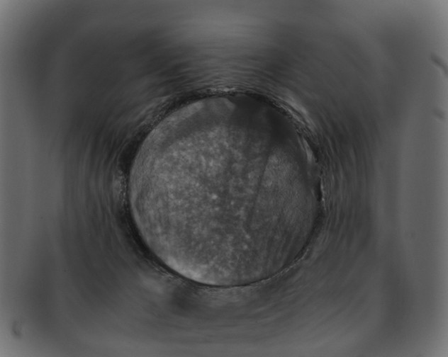 X0000091550029200709071227