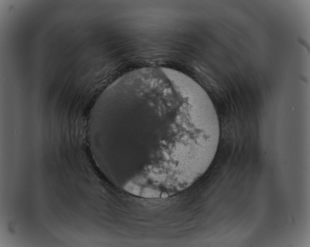 X0000091550030200709071227