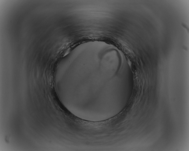 X0000091550031200709071227