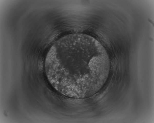 X0000091550032200709071227