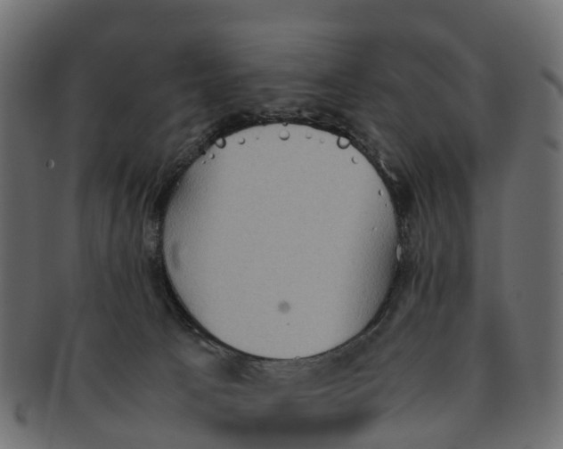 X0000091550033200709071227