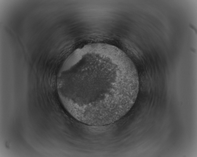 X0000091550034200709071227