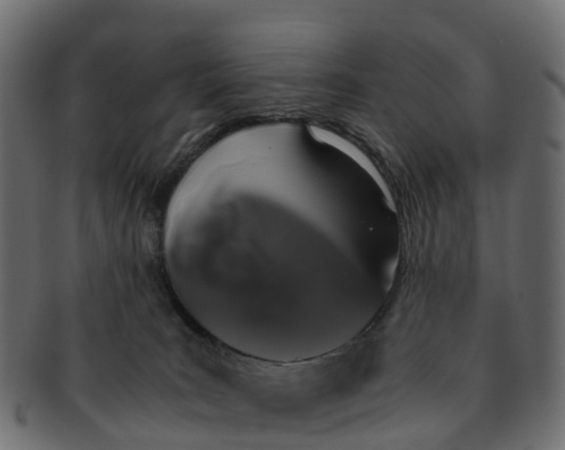 X0000091550035200709071227